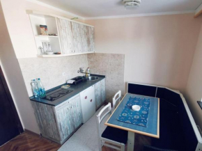 Vila Ivana - Apartman Planinar